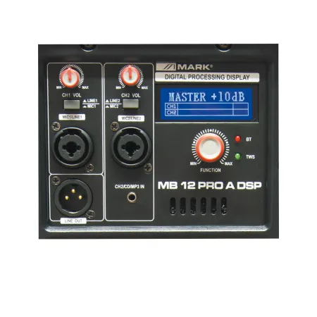 WorkPRO MB12 PRO A DSP MkII