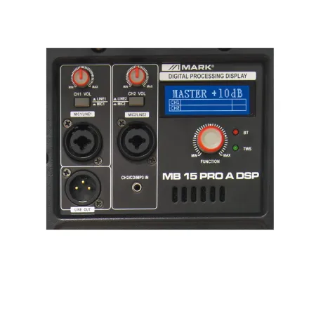 WorkPRO MB15 PRO A DSP MkII